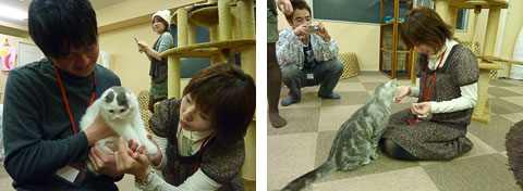 猫カフェでの様子１
