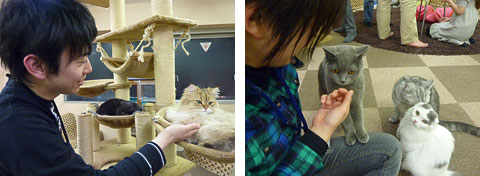 猫カフェでの様子２